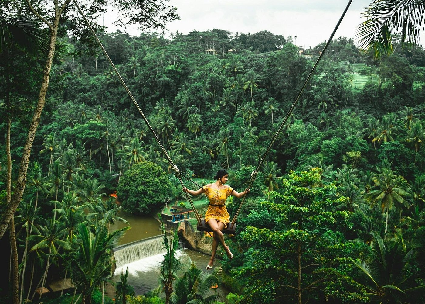 Traveller on jungle swing above lush rice terraces