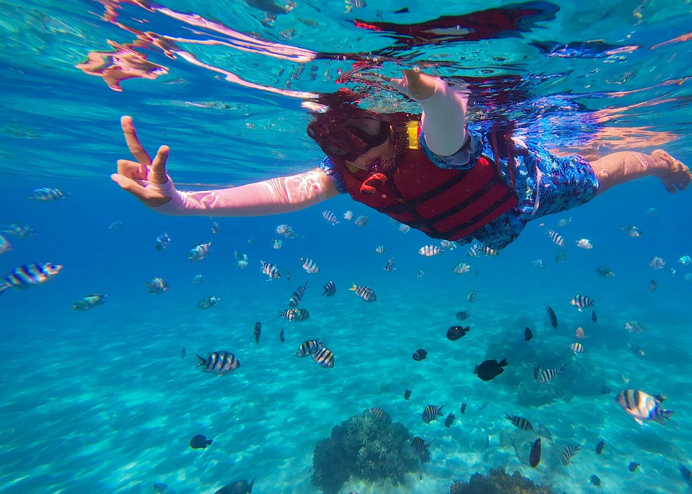 Snorkeler in life vest swimming above colourful tropical fish