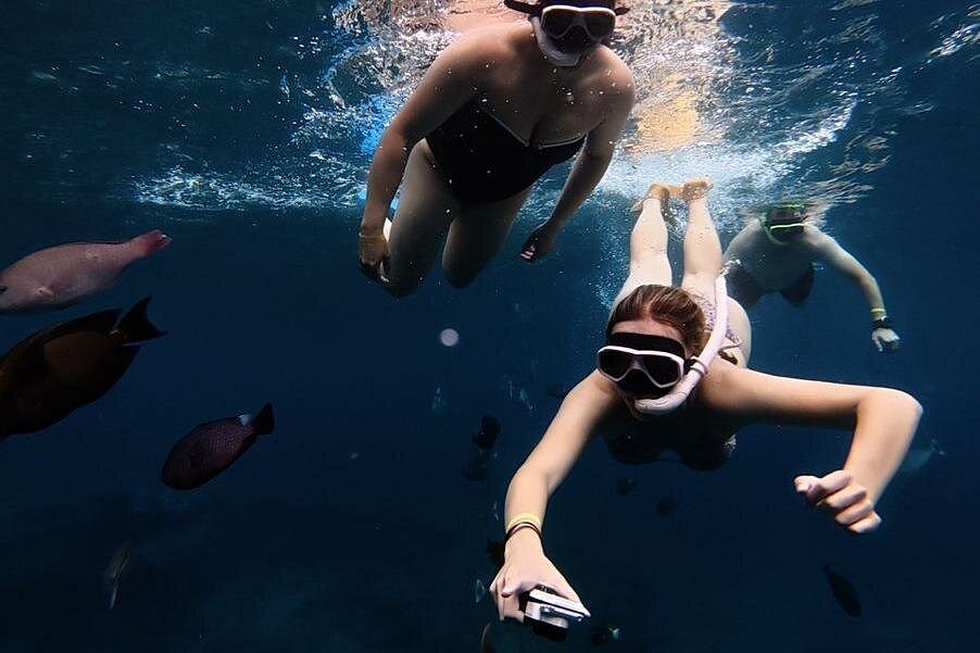 Two snorkelers exploring underwater near a school of reef fish