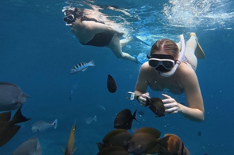 Pair of snorkelers diving down to capture photos with reef fish