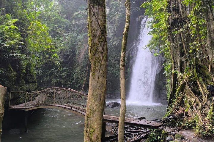 Travellers cooling off in a Ubud waterfall pool